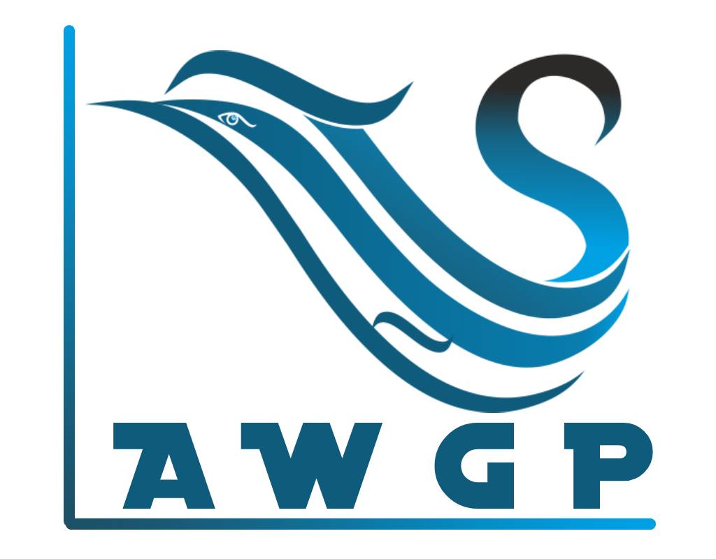 Airport Web Geo Portal